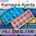 Kamagra Ajanta new14